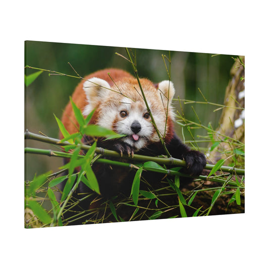 Playful Red Panda Canvas Wall Art – Bamboo Bliss and Whimsical Charm - ART OF ROYALS