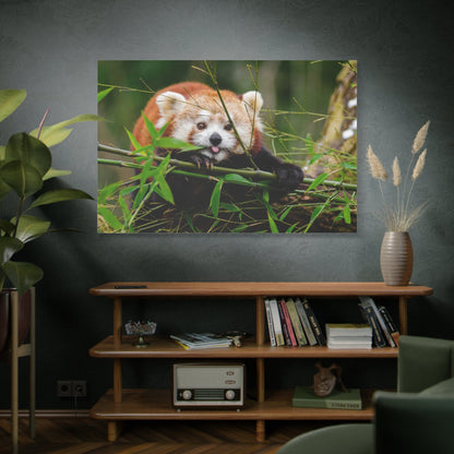 Playful Red Panda Canvas Wall Art – Bamboo Bliss and Whimsical Charm - ART OF ROYALS