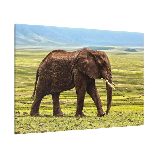 Powerful Elephant Canvas Wall Art – Strength and Majesty of the Wild - ART OF ROYALS