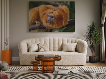 Golden Lion Tamarin Canvas Wall Art – Exotic Wildlife Elegance