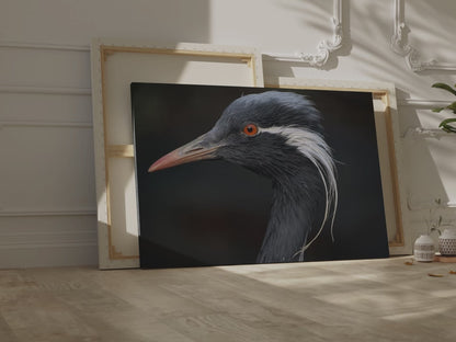 Demoiselle Crane Canvas Wall Art