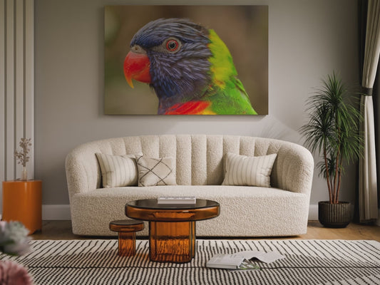 Colorful Charm Vibrant Parrot Canvas Wall Art