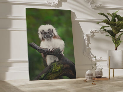 Majestic Cotton Top Tamarin Canvas Wall Art – Wildlife-Inspired Décor