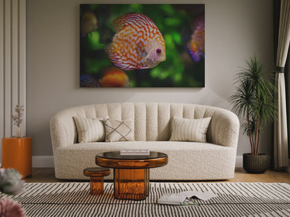 Vibrant Discus Fish Canvas Wall Art – Exotic Aquarium Wildlife Print for Tranquil Spaces