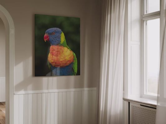 Vibrant Lorikeet Canvas Wall Art – Stunning Wildlife Photography