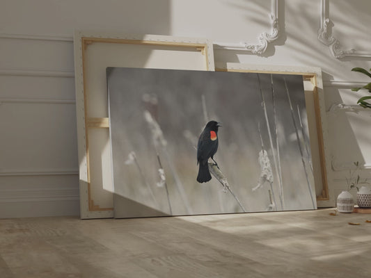 Red-Winged Blackbird Canvas Wall Art – Striking Wildlife Elegance