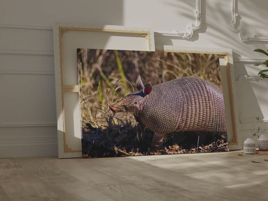 Adorable Armadillo Canvas Wall Art