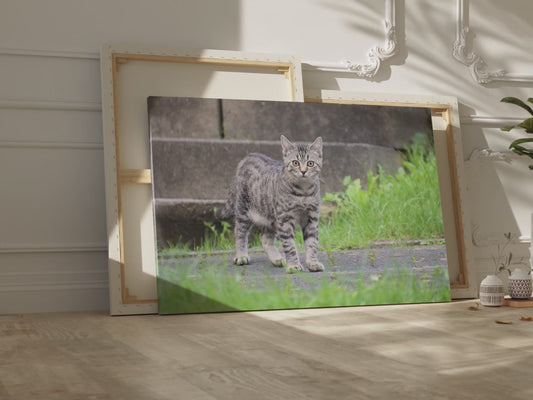 Graceful Cat Canvas Wall Art – Elegant Feline Portrait