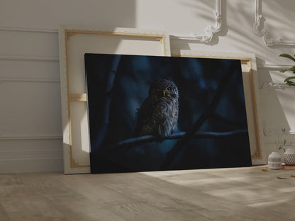 Mystical Eurasian Pygmy Owl Canvas Wall Art – Forest Wildlife