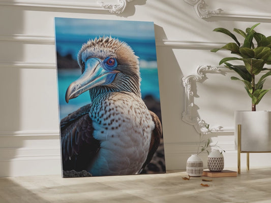 Blue Footed Booby Canvas Wall Art – Masterpiece for Nature Lovers