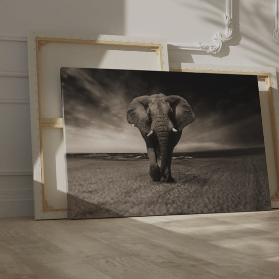 Elegant Black and White Elephant Canvas Wall Art – Timeless Wildlife Decor for Any Space