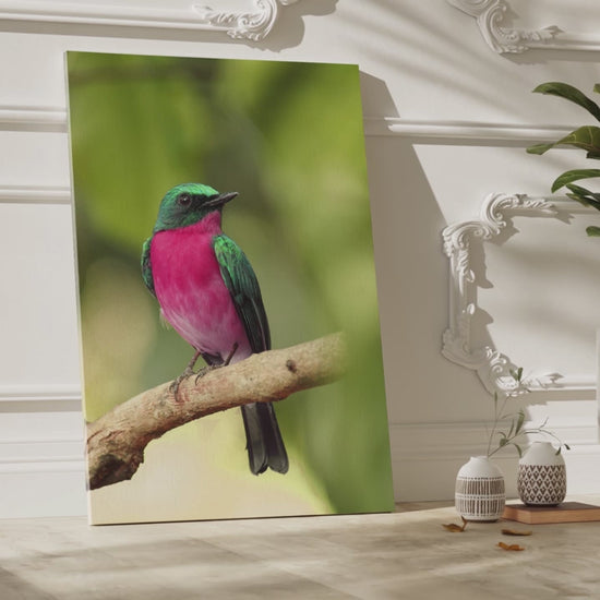 Charming Perched Bird Canvas Wall Art – Nature's Serenity in Every Detail