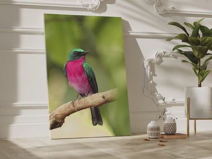 Charming Perched Bird Canvas Wall Art – Nature's Serenity in Every Detail