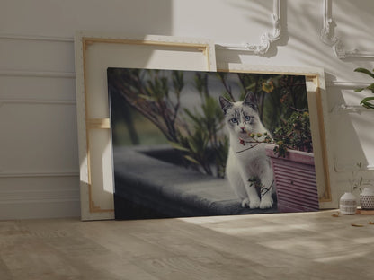 Cozy Cat Canvas Wall Art