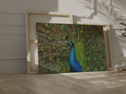 Exquisite Peacock Canvas Wall Art – Elegant Feather Wildlife Decor for Home & Office Spaces