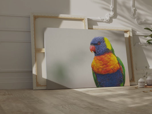 Radiant Rainbow Lorikeet Canvas Art – Tropical Beauty for Your Walls