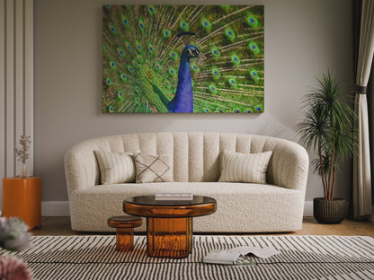 Vibrant Peacock Canvas Wall Art – Elegant Wildlife Decor for Modern Interiors