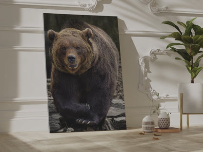 Powerful Brown Bear Canvas Wall Art – Strength and Wilderness Charm