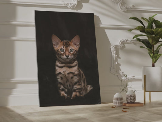 Adorable Kitten Canvas Wall Art