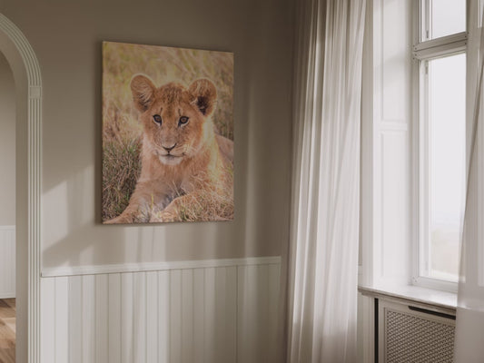 Adorable Lion Cub Canvas Wall Art – A Symbol of Youthful Majesty