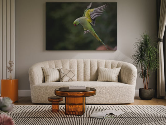 Vibrant Parakeet Canvas Wall Art – Wildlife Decor for Any Space