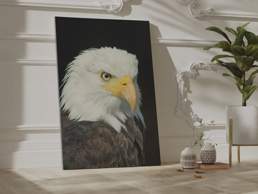 Majestic Eagle Head Canvas Wall Art – Wildlife Photography for Nature Enthusiasts