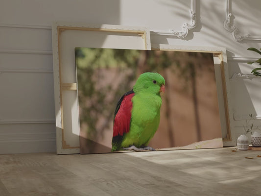 Green Parakeet Canvas Wall Art