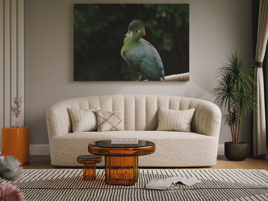 White-Cheeked Turaco Canvas Wall Art – Exotic Wildlife Elegance