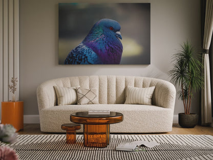 Serene Pigeon Canvas Art – Elegant Bird Feathers Print