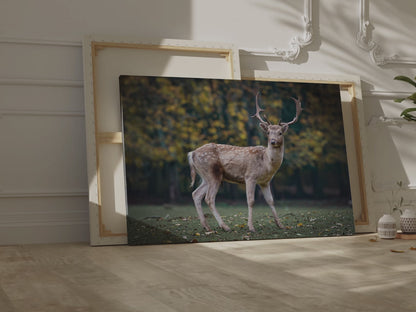 Roe Deer Canvas Wall Art – Majestic Forest Wildlife