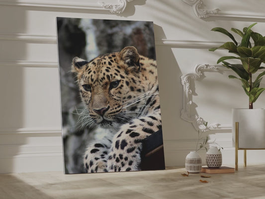 Majestic Cheetah Canvas Wall Art – A Tribute to Grace and Speed