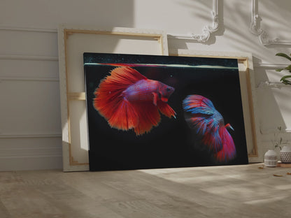 Majestic Siamese Fighting Fish Canvas Wall Art – Vibrant Betta Fish Print for Elegant Home Decor