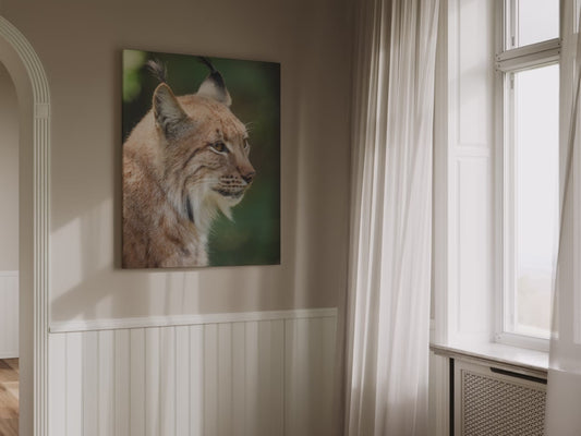 Majestic Lynx Canvas Wall Art– Masterpiece for Nature Lovers