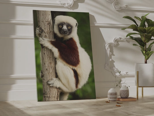 Playful Lemur Canvas Wall Art – Wildlife Charm of Madagascar