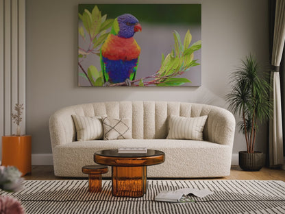 Vibrant Lorikeet Canvas Wall Art