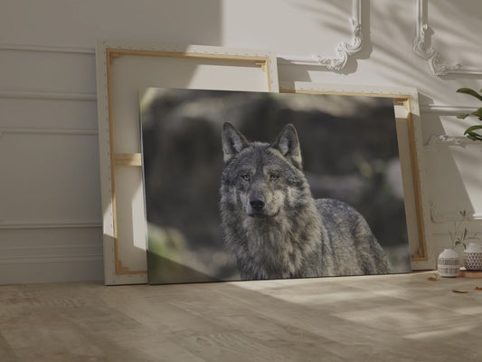 Majestic Gray Wolf Canvas Wall Art – Wild Elegance Redefined