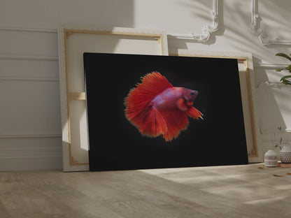 Vibrant Betta Fish Canvas Wall Art – Elegant Siamese Fighting Fish Print for Modern Decor Spaces