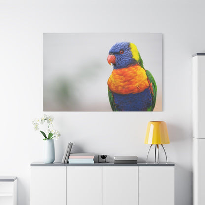 Radiant Rainbow Lorikeet Canvas Art – Tropical Beauty for Your Walls - ART OF ROYALS