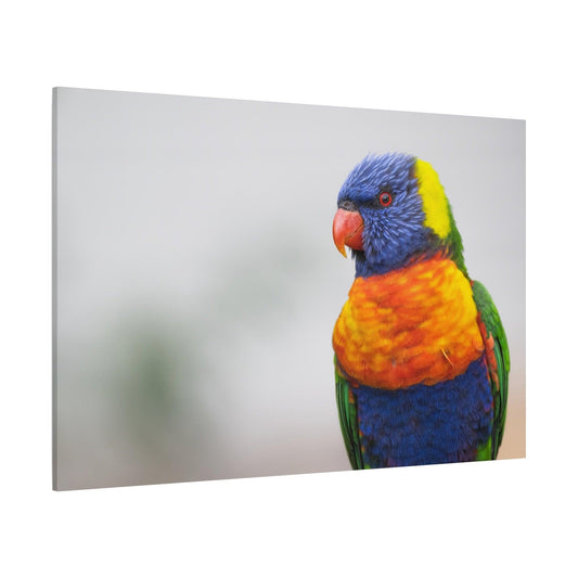 Radiant Rainbow Lorikeet Canvas Art – Tropical Beauty for Your Walls - ART OF ROYALS