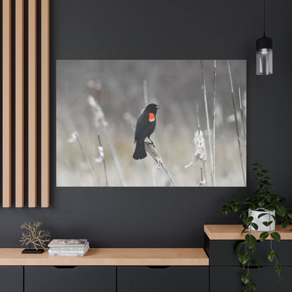 Red-Winged Blackbird Canvas Wall Art – Striking Wildlife Elegance - ART OF ROYALS