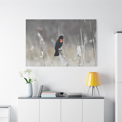 Red-Winged Blackbird Canvas Wall Art – Striking Wildlife Elegance - ART OF ROYALS