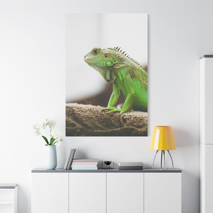 Regal Iguana Canvas Wall Art – Exotic Reptile Wildlife Print for Nature-Inspired Interiors - ART OF ROYALS