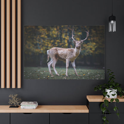 Roe Deer Canvas Wall Art – Majestic Forest Wildlife - ART OF ROYALS