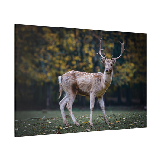 Roe Deer Canvas Wall Art – Majestic Forest Wildlife - ART OF ROYALS