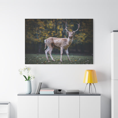 Roe Deer Canvas Wall Art – Majestic Forest Wildlife - ART OF ROYALS