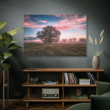 Serene Sunrise Over a Field Landscape - ART OF ROYALS