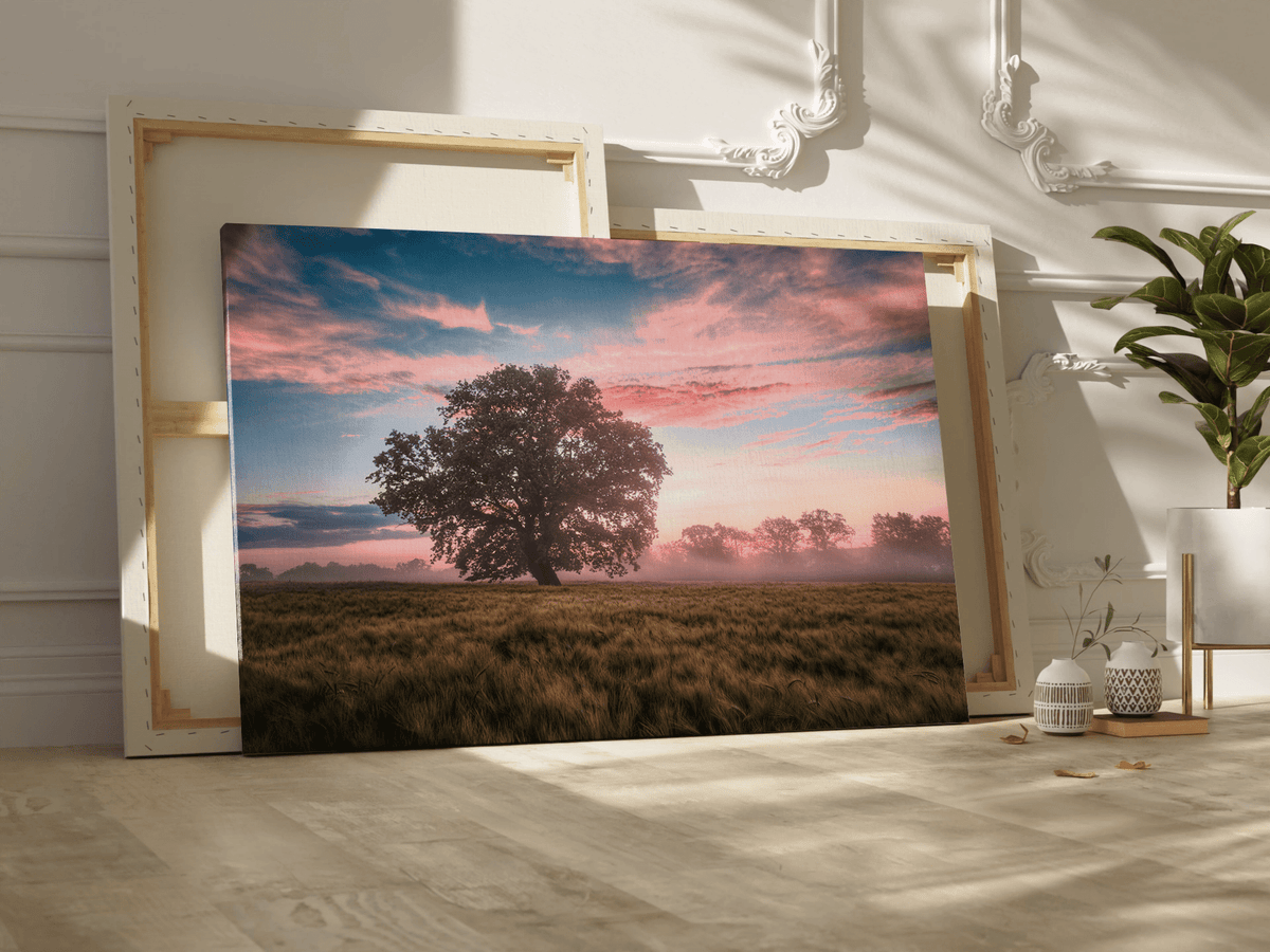 Serene Sunrise Over a Field Landscape - ART OF ROYALS