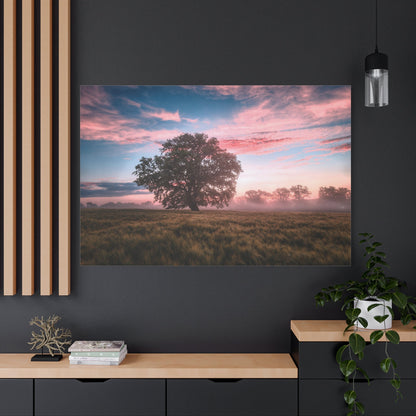 Serene Sunrise Over a Field Landscape - ART OF ROYALS