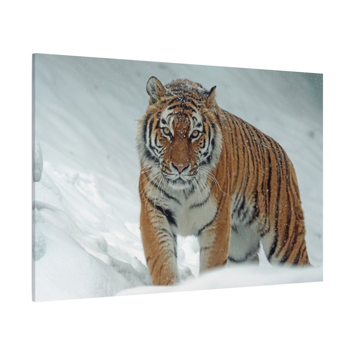 Siberian Tiger Canvas Wall Art – Majestic Predator in Snowy Wilderness - ART OF ROYALS