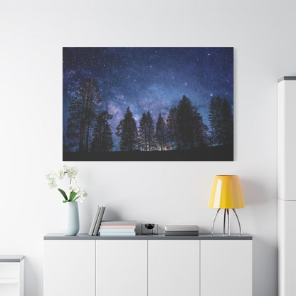 Starry Night Sky Over Enchanted Forest Illustration - ART OF ROYALS